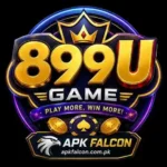 899U Game