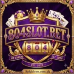 804solot Game