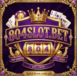 804solot Game