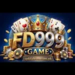 FD999 Game